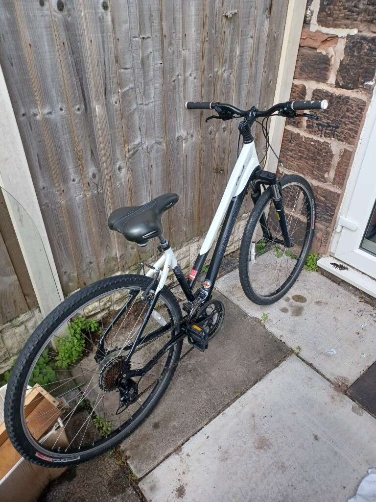Specialized Ariel 7 speed Shimono Gears 